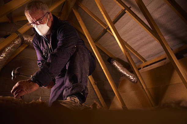 Best Residential Insulation in Vilonia, AR
